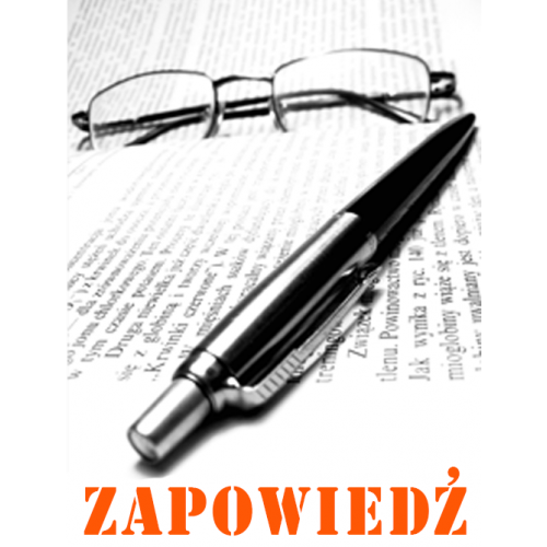 produkt - Proces diagnozy spektrum autyzmu u dzieci. Doświadczenia rodziców