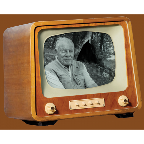 produkt - Telewizja Dziewcząt i Chłopców (1957–1993)